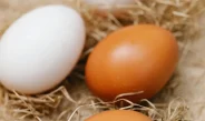 A verdade sobre os ovos vermelhos e brancos que pouca gente conhece