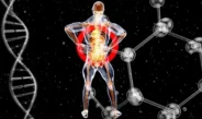 Estudo da USP identifica rede de autoanticorpos em doenças neurodegenerativas