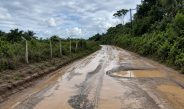 TCE admite denúncia de deputado Sinésio Campos e vai investigar possível irregularidade em obra no Ramal Esperança, em Manaus