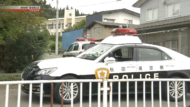 Polícia encontra corpo de mulher após possível ataque de urso em Akita, nordeste do Japão
