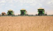 Produção de grãos deve atingir recorde de 360,1 milhões de toneladas na safra 2025/26