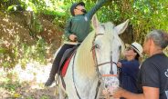 Dia Nacional da Equoterapia: na gestão do coronel Vinícius Almeida, Cavalaria ampliou atendimento a pessoas com deficiência