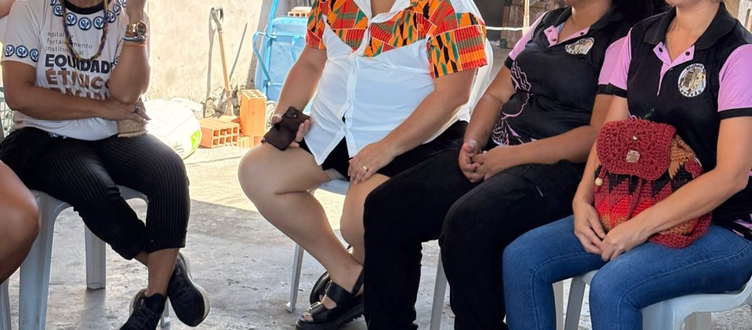 Pardos eleitorais: Michelle Andrews alerta para distorções na representatividade política